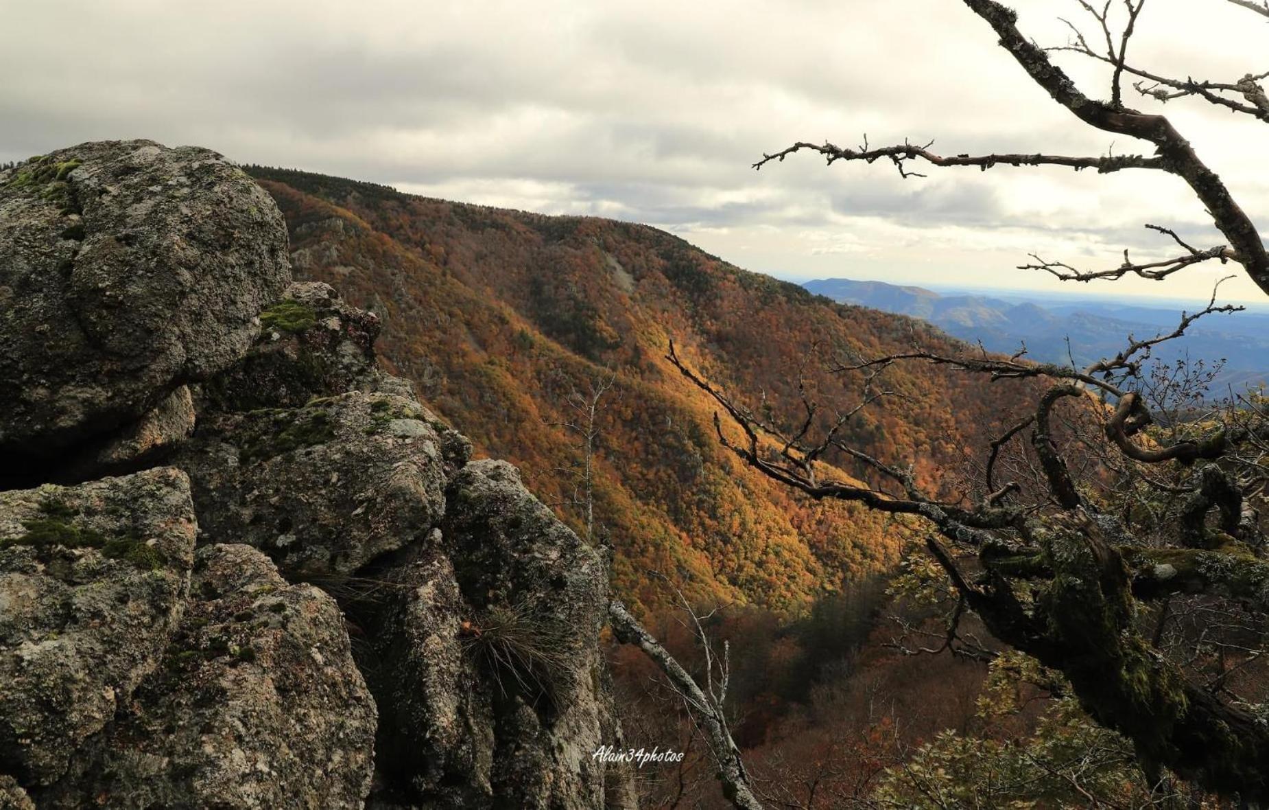 Grand Gite, Mas Favieres Notre-Dame-de-la-Rouvière Kültér fotó